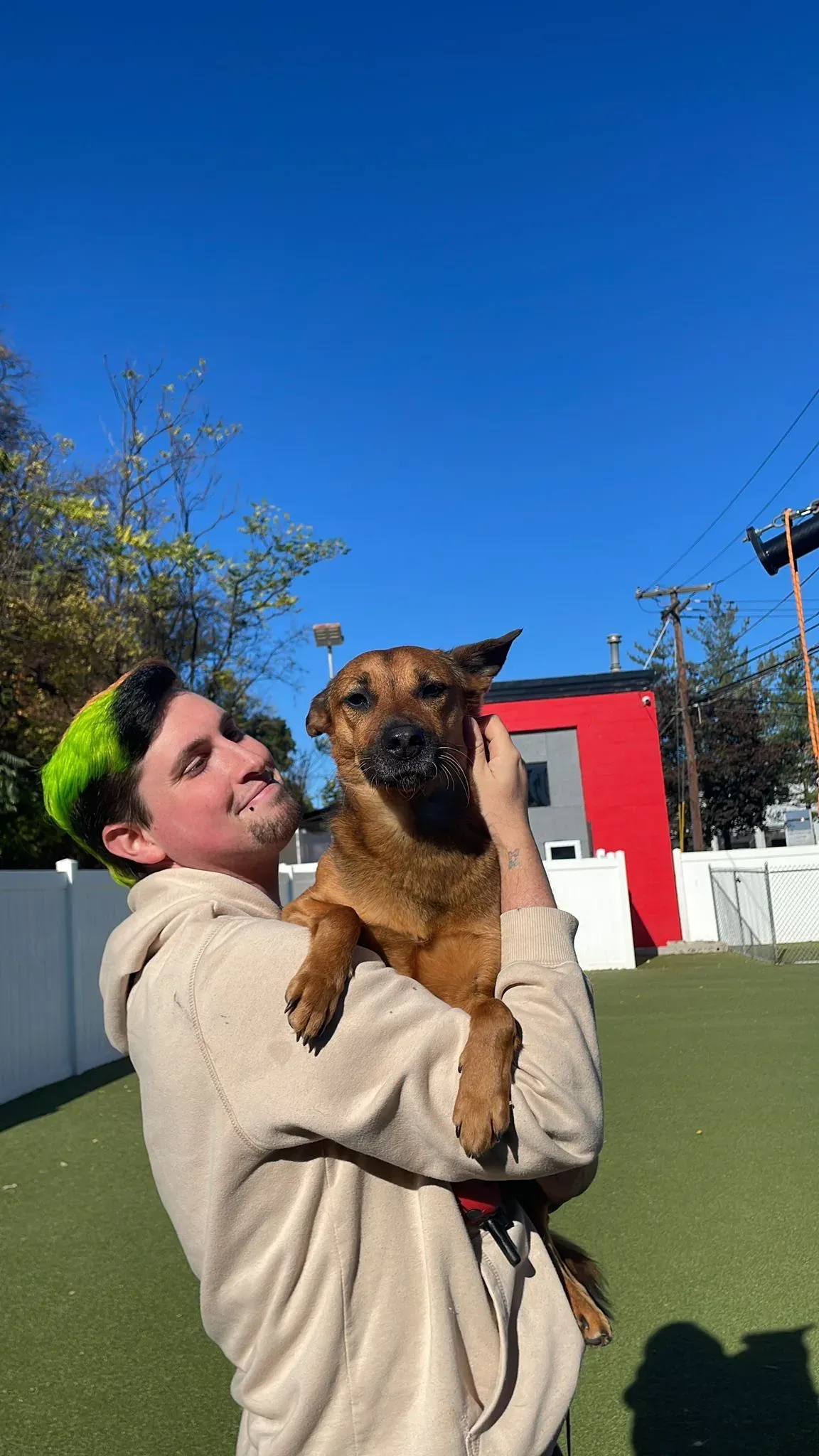 Meet Our Team: K9 Nanni Pet Care Experts in North Arlington